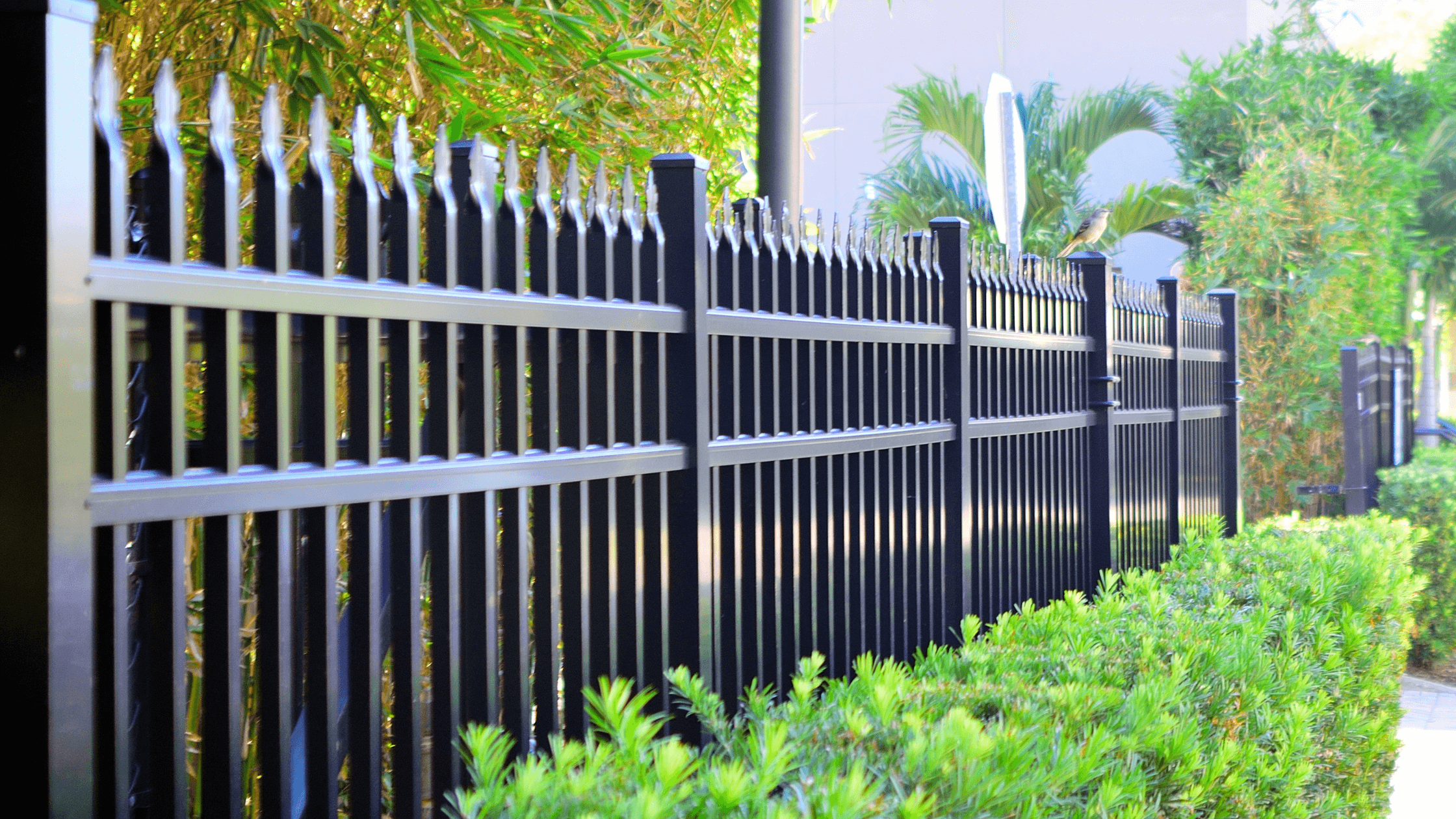 fencing, fencing for privacy, choose the right height and material