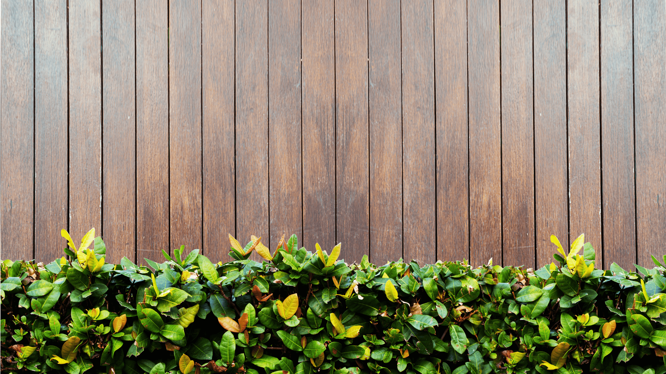 Staining, Staining Your Fence, Aesthetic and Durability Purposes